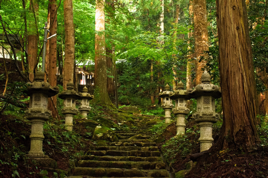 志都の岩屋神社　苔むす石段